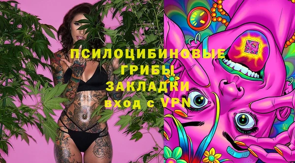 apvp Бородино