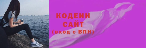 apvp Бородино